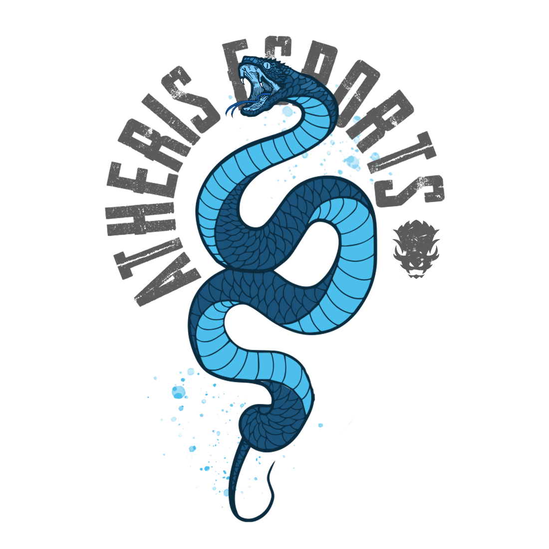 PLAYERA HOMBRE ATHERIS SERPIENTE ESPORTS