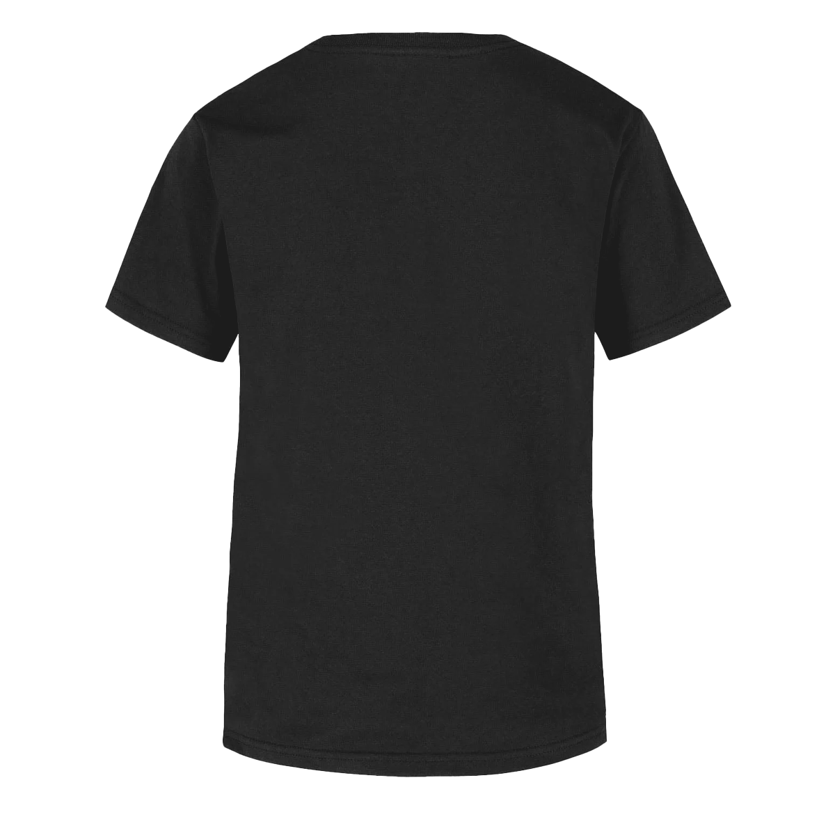 Men's Black T-Shirt LePartisan Est 2006