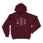 HOODIE XIMMEZAM FORMULA 1 CARS