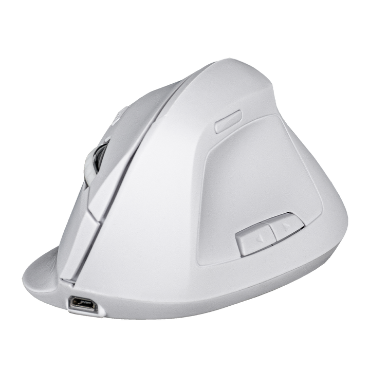 Nasa NS-MIS02 Wireless Ergonomic Pc Mouse
